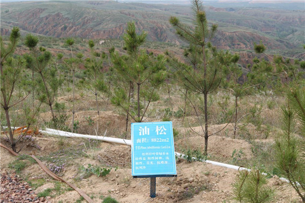 人民网 陕煤集团：用行动守护三秦大地碧水蓝天